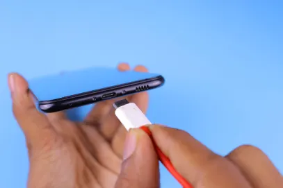 קזינו רוזי בינגו אפליקציה לנייד